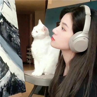 漂流人生
