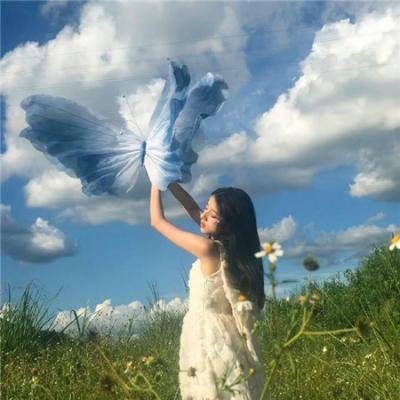 昙花梦
